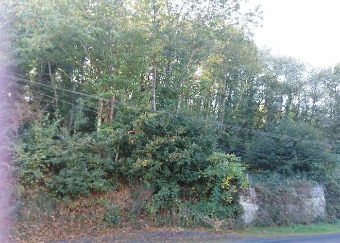 Entre Mures Et Chataignes Pensjonat 3*