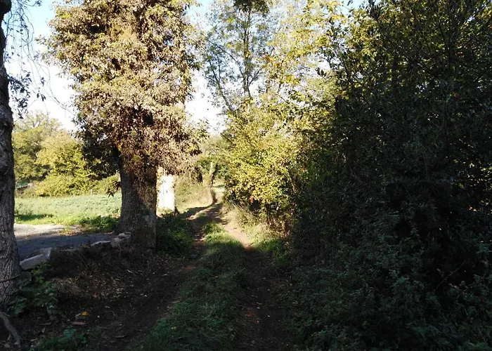 Entre Mures Et Chataignes 3*